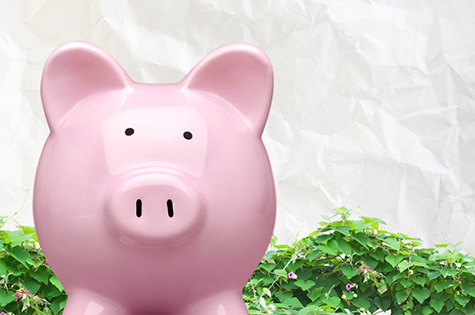 piggy bank